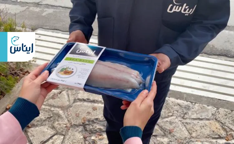 چطور ماهی بخریم؟ سادهترین روشهای خرید ماهی