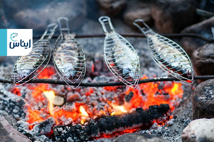 سادهترین روش پخت ماهی در کمپ