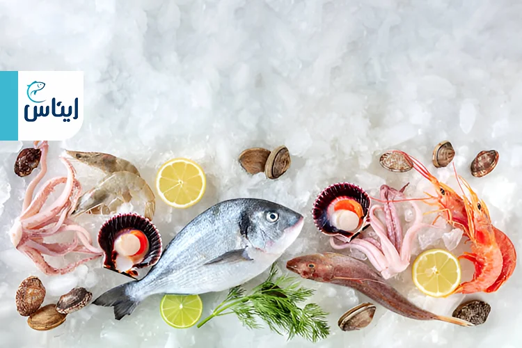 مقایسه سایتهای فروش ماهی آنلاین