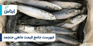 لیست قیمت ماهی منجمد