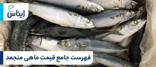 لیست قیمت ماهی منجمد