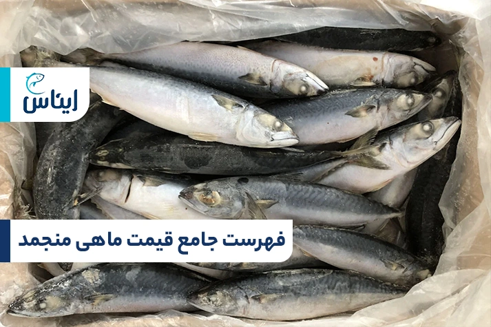 لیست قیمت ماهی منجمد