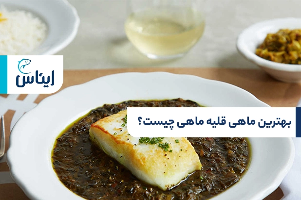 ماهی قلیه ماهی چیست؟