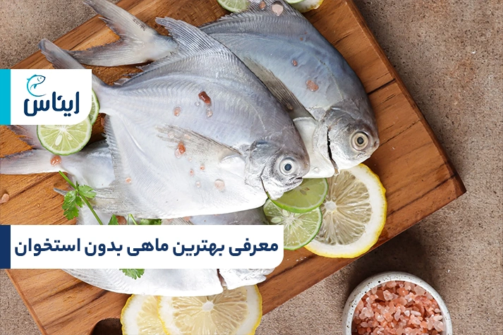 معرفی بهترین ماهی بدون استخوان